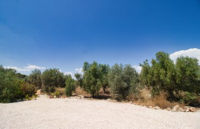 Resale - Country House - Pinoso