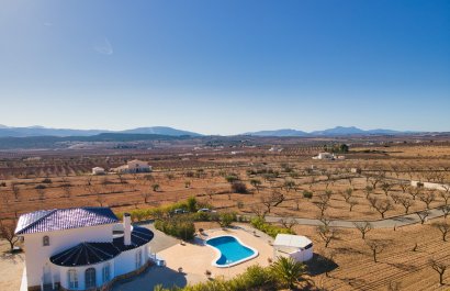 Reventa - Country House - Pinoso