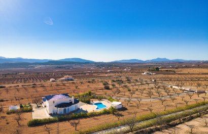 Reventa - Country House - Pinoso