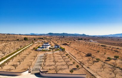 Reventa - Country House - Pinoso