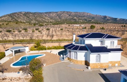 Reventa - Country House - Pinoso