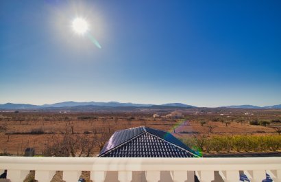 Reventa - Country House - Pinoso