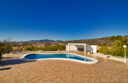 Reventa - Country House - Pinoso