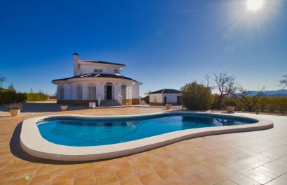 Reventa - Country House - Pinoso