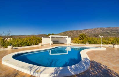 Reventa - Country House - Pinoso