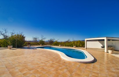 Reventa - Country House - Pinoso