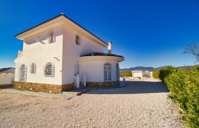 Reventa - Country House - Pinoso