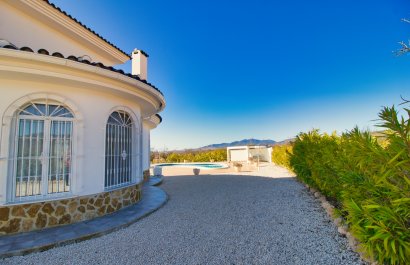 Reventa - Country House - Pinoso