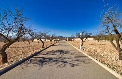 Reventa - Country House - Pinoso