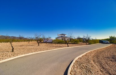 Reventa - Country House - Pinoso