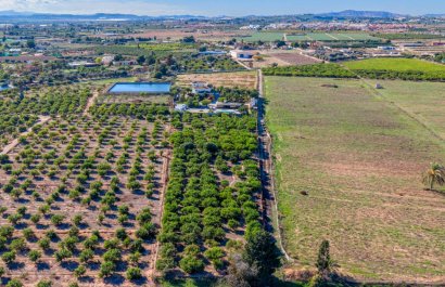 Resale - Country House - Los Montesinos