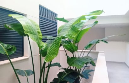 Resale - Apartment / flat - Santa Pola - Gran Alacant