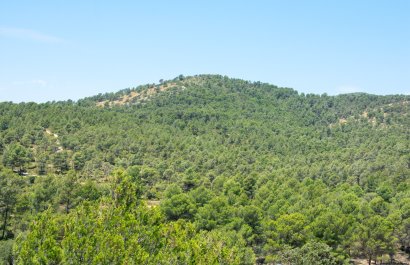 Reventa - Villa - Onil