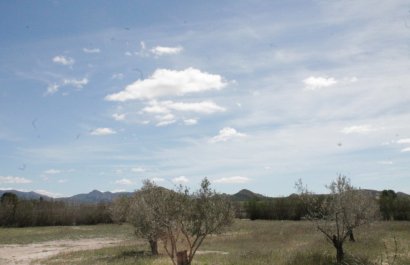 Herverkoop - Villa - Villena