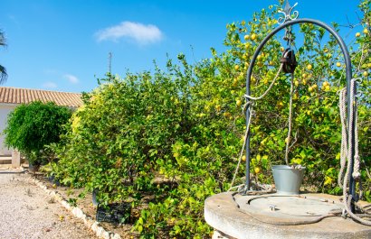 Reventa - Villa - Guardamar del Segura - El Raso