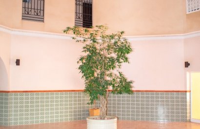 Reventa - Apartamento / piso - Torrevieia - Playa Los Locos