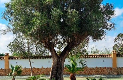 Reventa - Country House - Catral - Catral - Country