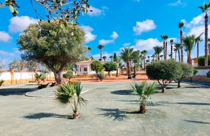 Reventa - Country House - Catral - Catral - Country