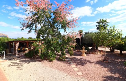 Reventa - Country House - Orihuela - La Campaneta