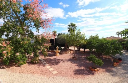 Reventa - Country House - Orihuela - La Campaneta