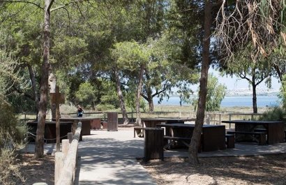 Resale - Apartment / flat - La Mata - La Mata - Town