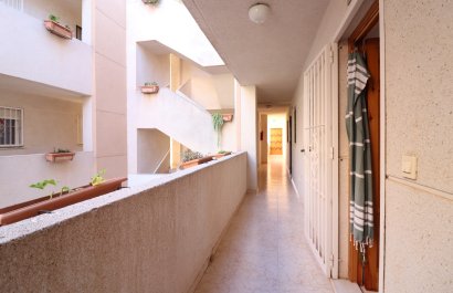 Reventa - Apartamento / piso - Torrevieja - San Luis
