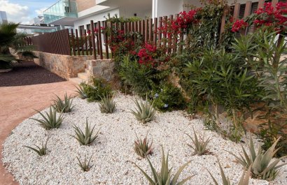 Reventa - Apartamento / piso - Orihuela - Vistabella