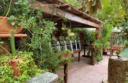 Reventa - Country House - Sax