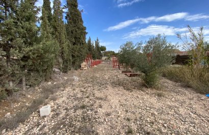 Reventa - Country House - Sax