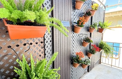 Reventa - Apartamento / piso - Benidorm - Levante