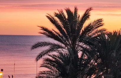 Herverkoop - Appartement / flat - Torrevieia - Torrevieja