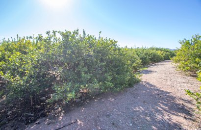 Reventa - Country House - Alicante