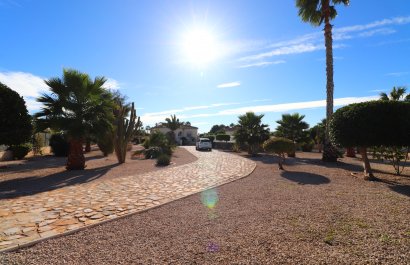 Reventa - Country House - Catral - Catral - Country