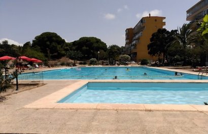 Reventa - Apartamento / piso - Guardamar del Segura - Pinomar