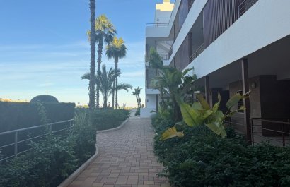 Herverkoop - Appartement / flat - Lomas de Cabo Roig - Lomas De Cabo Roig