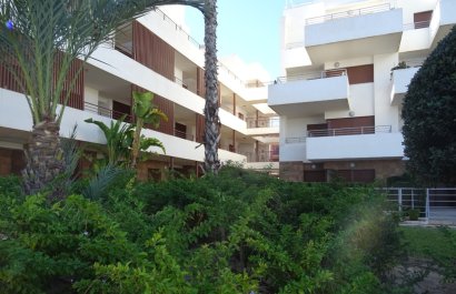 Herverkoop - Appartement / flat - Lomas de Cabo Roig - Lomas De Cabo Roig
