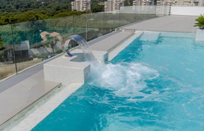 Obra nueva - Villa - Dehesa de Campoamor - Dehesa de campoamor