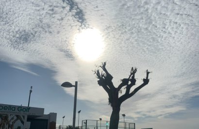 Reventa - Apartment Penthouse - Entre Naranjo - Vistabella Golf - Entre Naranjos