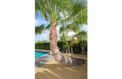 Reventa - Villa - Rojales - Ciudad Quesada