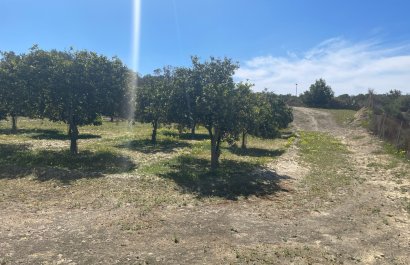 Reventa - Villa - Guardamar del Segura - Valencian Community