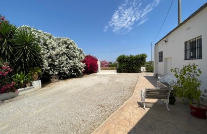 Resale - Villa - Daya Nueva