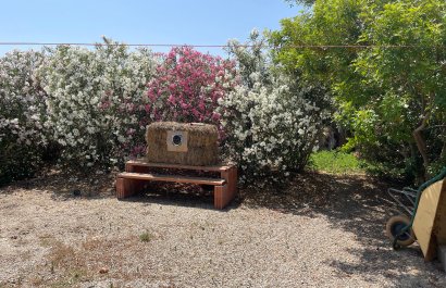 Resale - Villa - Daya Nueva