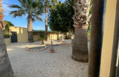 Reventa - Country House - Elche - Las Bayas