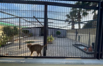 Reventa - Country House - Elche - Las Bayas