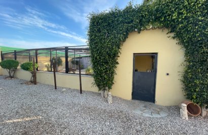 Reventa - Country House - Elche - Las Bayas