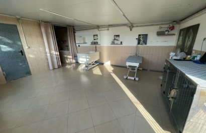 Reventa - Country House - Elche - Las Bayas