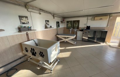 Reventa - Country House - Elche - Las Bayas