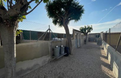 Reventa - Country House - Elche - Las Bayas