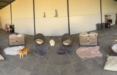 Reventa - Country House - Elche - Las Bayas