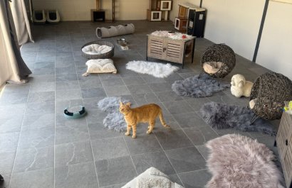 Reventa - Country House - Elche - Las Bayas